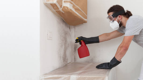 Professional Mold Testing technician working in Quincy, FL