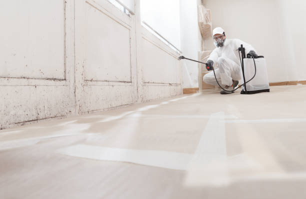 24/7 Emergency Mold Testing experts in Quincy, FL